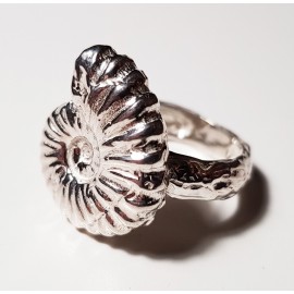 Anillo de plata ammonite